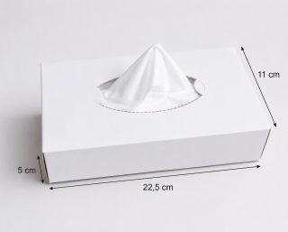 Kosmetické kapesníčky v boxu 2vrstvé 190×200 mm bílé 100 ks
